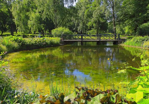 You can see my collection of photos of stunning Norway: mountains and fjords (Oslo, Geiranger, Geiranger Fjord, Alesund, Bergen, a Lot of Fjords, Jotunheimen, Jostedal, Glaciers, Trollstigen, Aurland, sunrises, sunsets, and much others!!) in the following link below: